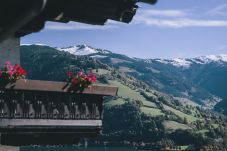 Studio in Zell am See - Apartments Haus Altenberger #1 Studio