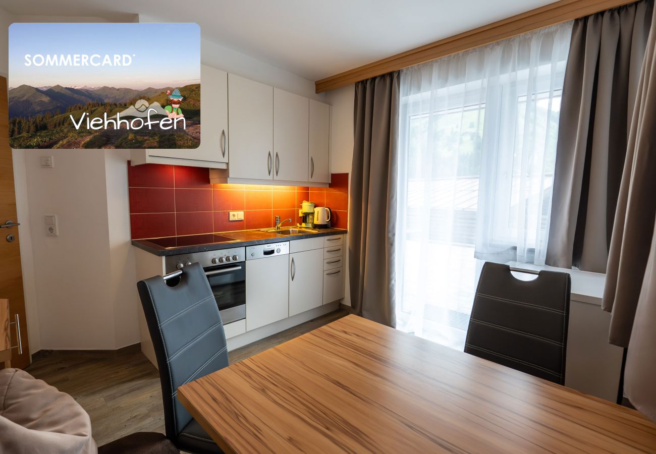 Ferienwohnung in Viehhofen - Appartement MaLo - Top 2