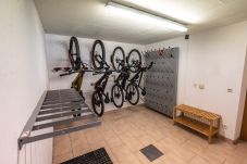 Ferienwohnung in Viehhofen - Appartement MaLo - Top 2